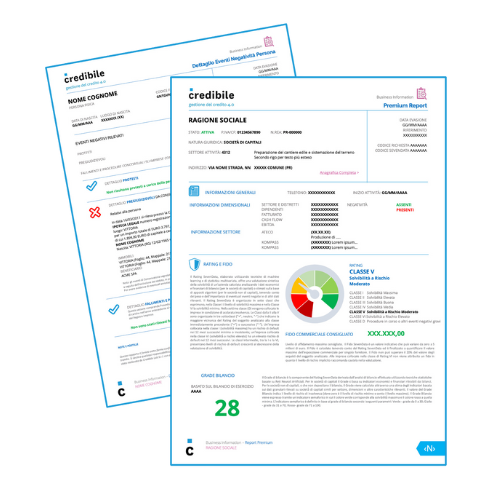 CREDIBILE: le informazioni commerciali, esempi di report