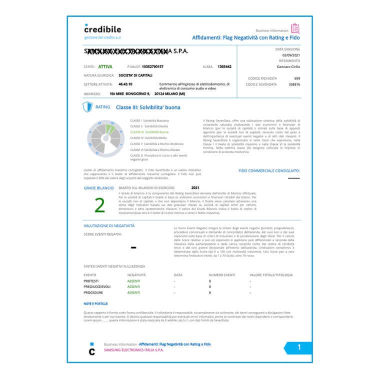 CREDIBILE informazioni commerciali: Report Affidamenti